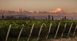 Lee más sobre el artículo Textual Innovación Extrema – Bodega Santa Julia